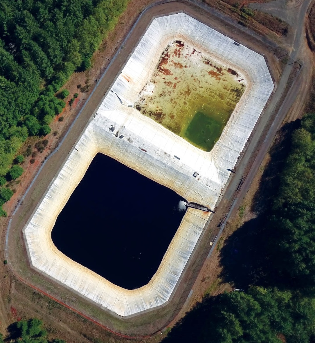 Leachate Phytoremediation – Crocus